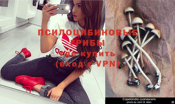 не бодяженный Балахна