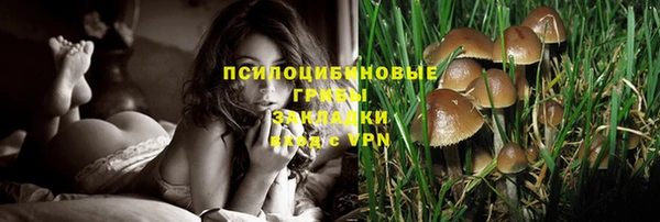 не бодяженный Балахна