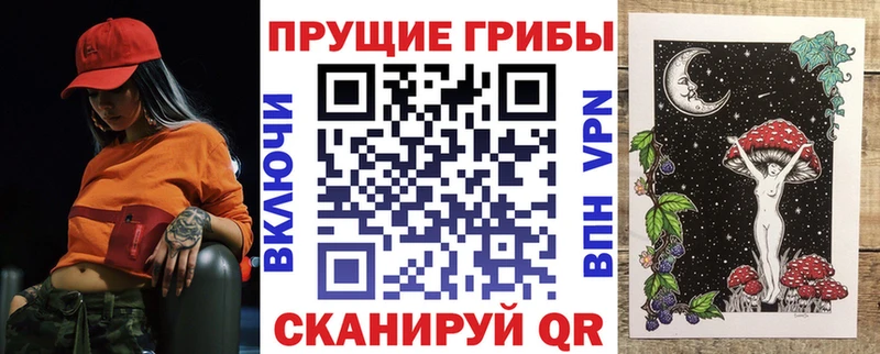hydra зеркало  Гаджиево  Галлюциногенные грибы Psilocybine cubensis 